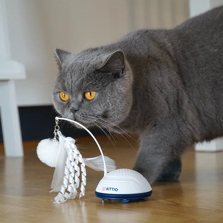 Juguete gato KITTIO movimiento