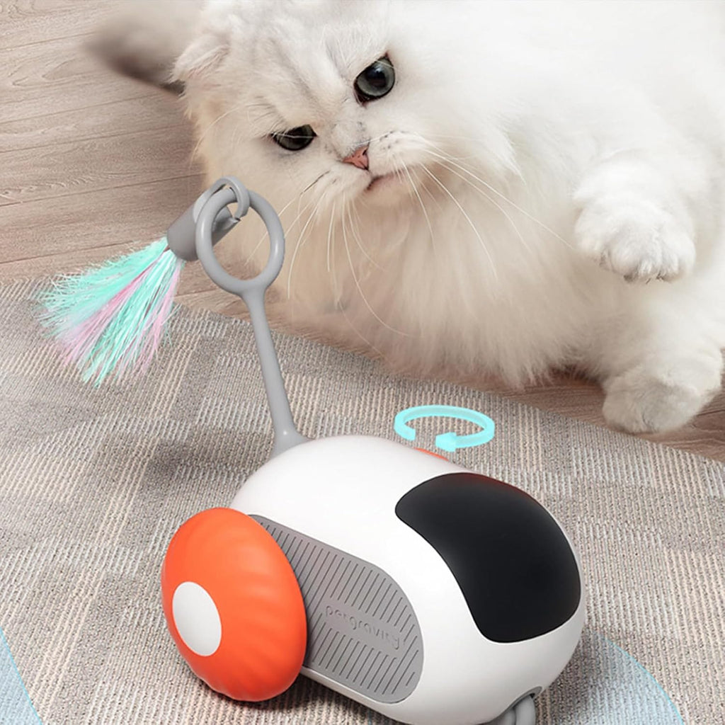 Juguete gato auto control remoto