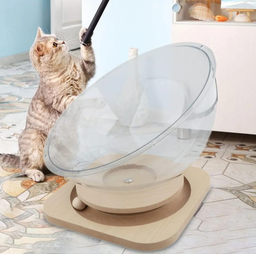 Cama plastico gato + juguete