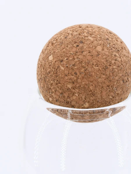 Botella de vidrio con tapa de corcho